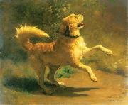 Rudolf Koller Springender Hund painting